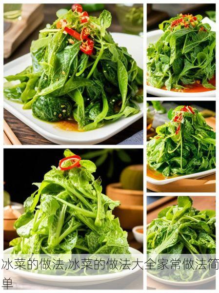 冰菜的做法,冰菜的做法大全家常做法简单