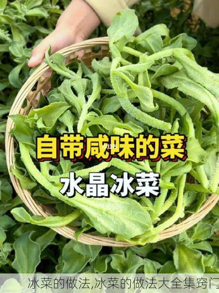 冰菜的做法,冰菜的做法大全集窍门