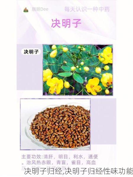 决明子归经,决明子归经性味功能