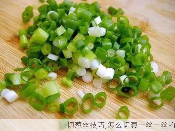 切葱丝技巧;怎么切葱一丝一丝的