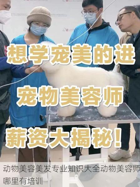 动物美容美发专业知识大全动物美容师哪里有培训