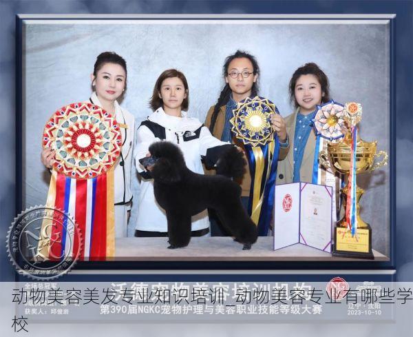 动物美容美发专业知识培训_动物美容专业有哪些学校