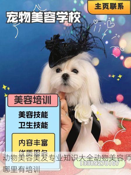 动物美容美发专业知识大全动物美容师哪里有培训