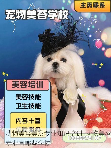动物美容美发专业知识培训_动物美容专业有哪些学校