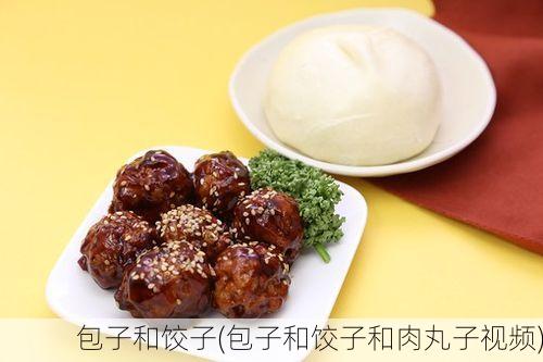 包子和饺子(包子和饺子和肉丸子视频)