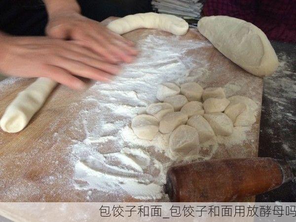 包饺子和面_包饺子和面用放酵母吗