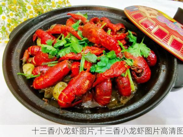 十三香小龙虾图片,十三香小龙虾图片高清图