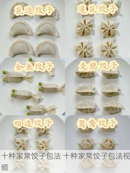 十种家常饺子包法 十种家常饺子包法视频