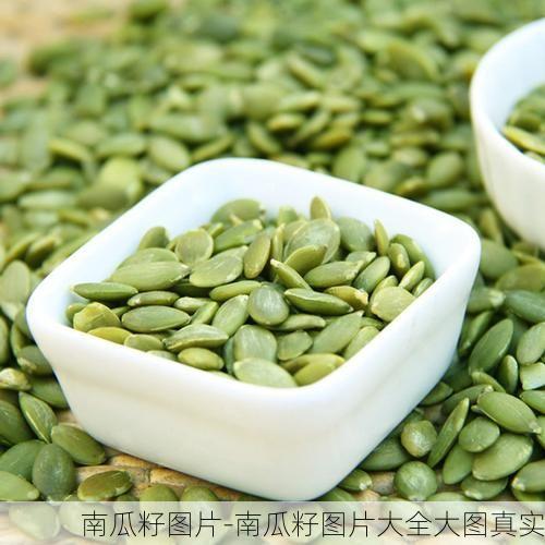 南瓜籽图片-南瓜籽图片大全大图真实