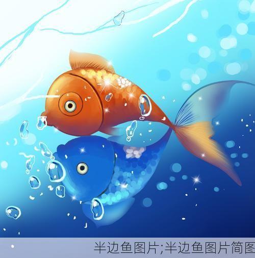 半边鱼图片;半边鱼图片简图