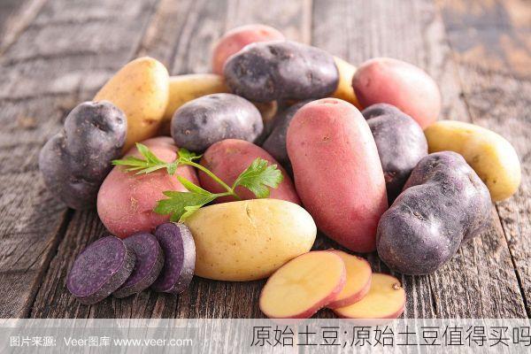 原始土豆;原始土豆值得买吗