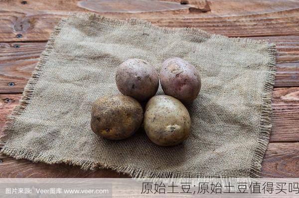 原始土豆;原始土豆值得买吗