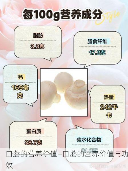 口蘑的营养价值—口蘑的营养价值与功效