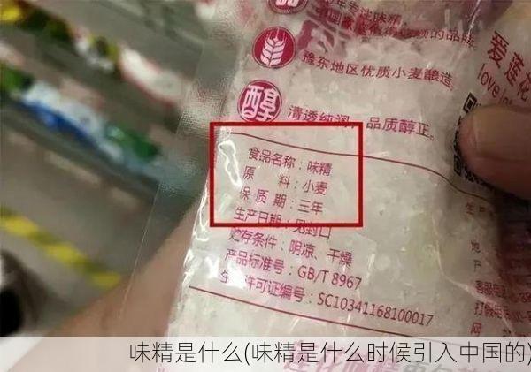 味精是什么(味精是什么时候引入中国的)