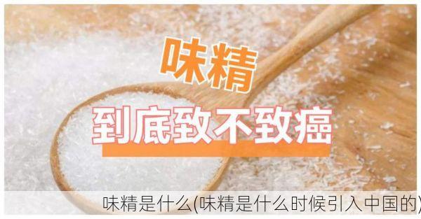 味精是什么(味精是什么时候引入中国的)