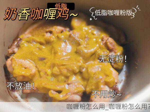 咖喱粉怎么用_咖喱粉怎么用？