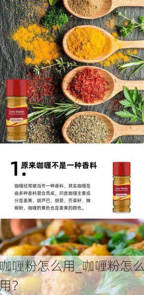 咖喱粉怎么用_咖喱粉怎么用？
