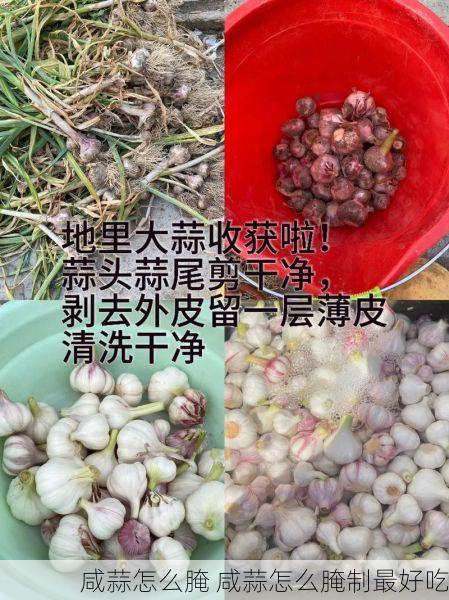 咸蒜怎么腌 咸蒜怎么腌制最好吃