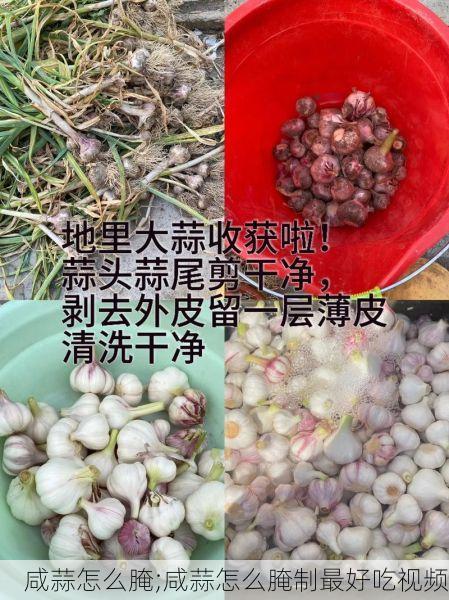 咸蒜怎么腌;咸蒜怎么腌制最好吃视频