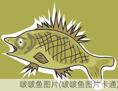 啵啵鱼图片(啵啵鱼图片卡通)