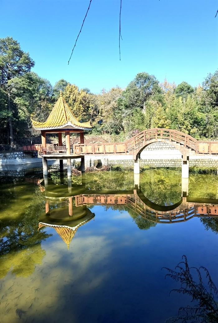 元旦旅游最佳短途去处(元旦旅游最佳地点)
